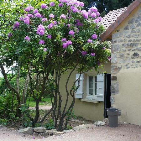 Le Cedre Enchante La Guiche Bagian luar foto