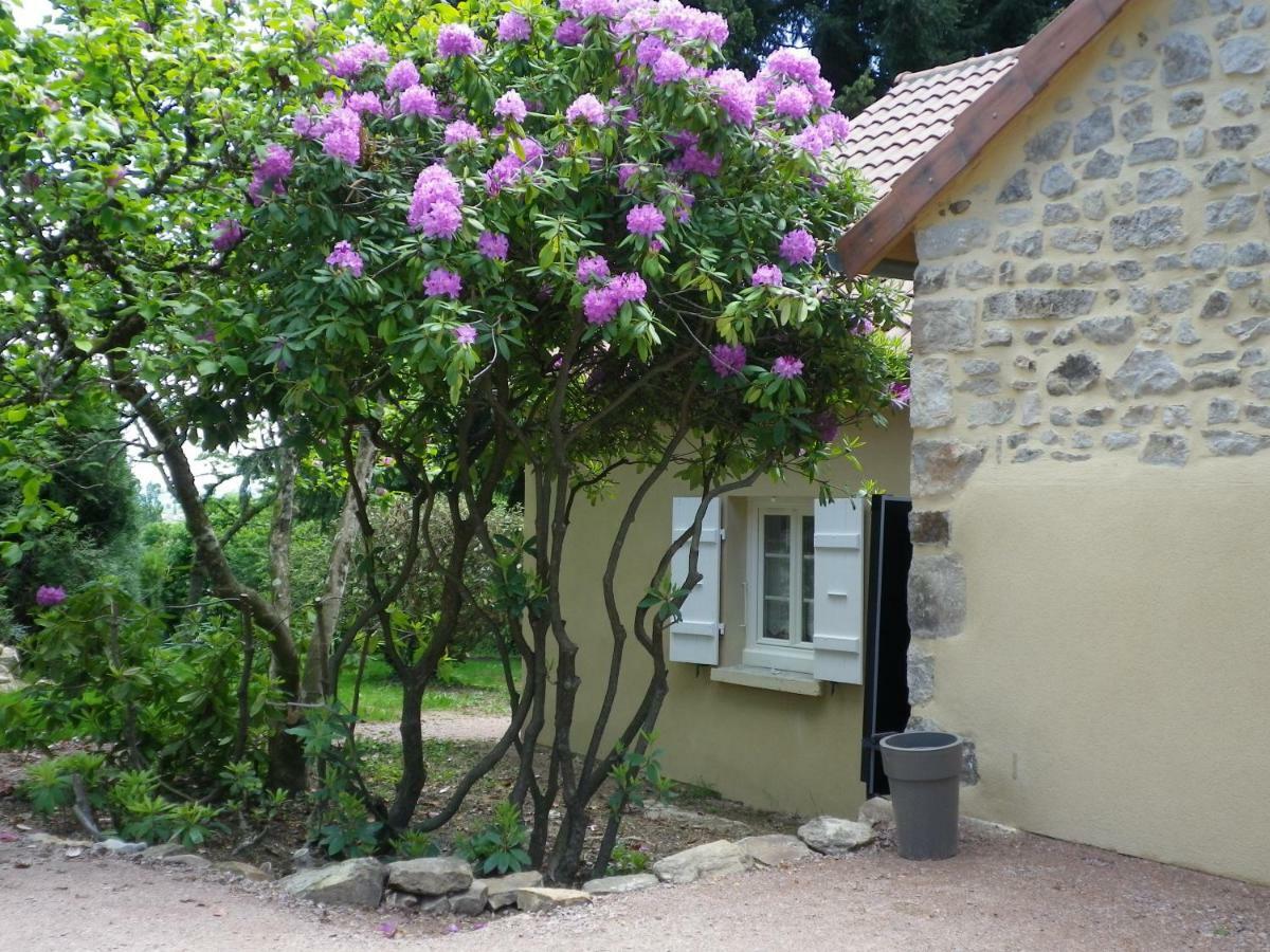 Le Cedre Enchante La Guiche Bagian luar foto