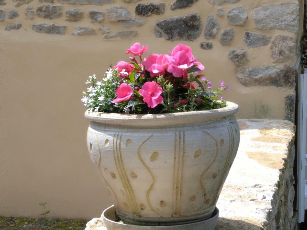 Le Cedre Enchante La Guiche Bagian luar foto